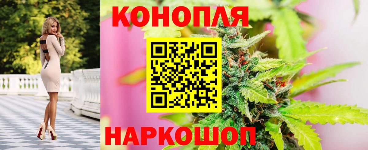 Конопля MAZAR Михайловск